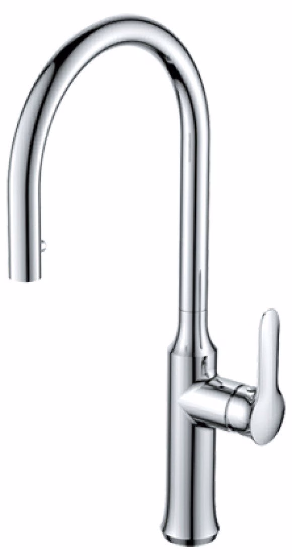 מדגל גולן 43818 ברז נשלף למטבח